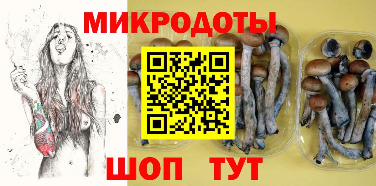 Горно-Алтайск  Псилоцибиновые грибы ЛСД  Псилоцибиновые грибы мицелий  Вход с VPN 