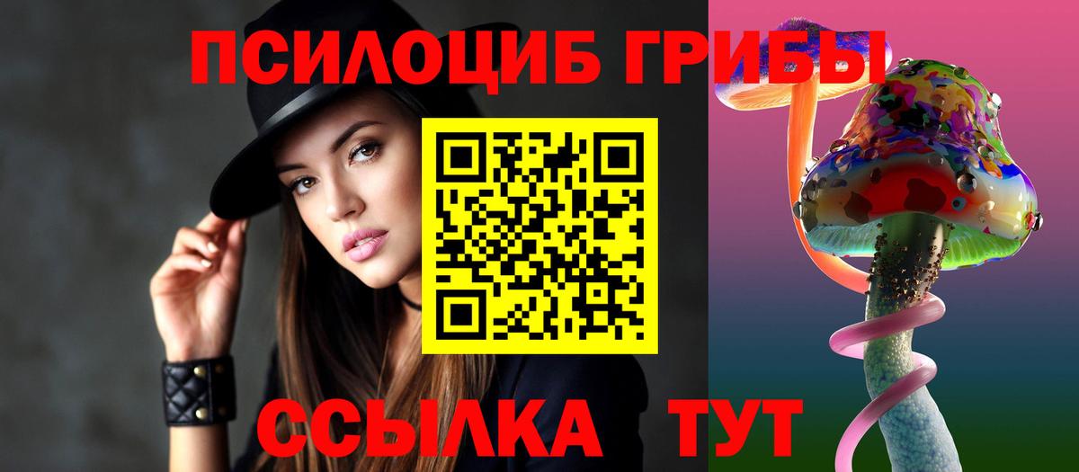 Галлюциногенные грибы Cubensis Горно-Алтайск